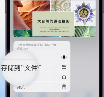 米脂apple维修中心分享iPhone文件应用中存储和找到下载文件