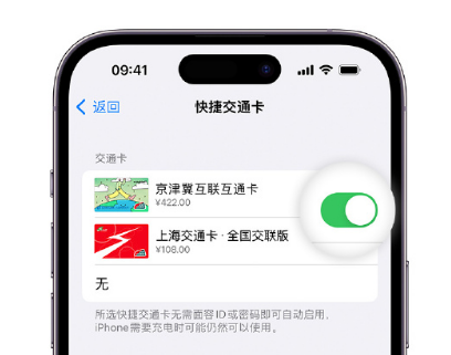 米脂apple维修点分享iPhone上更换Apple Pay快捷交通卡手绘卡面 