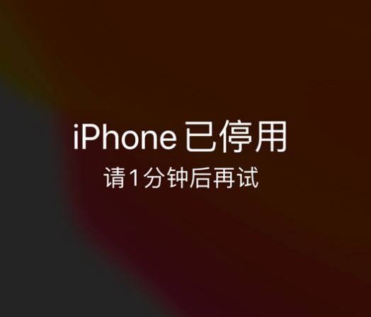 米脂苹果手机维修分享:iPhone 显示“不可用”或“已停用”怎么办？还能保留数据吗？ 