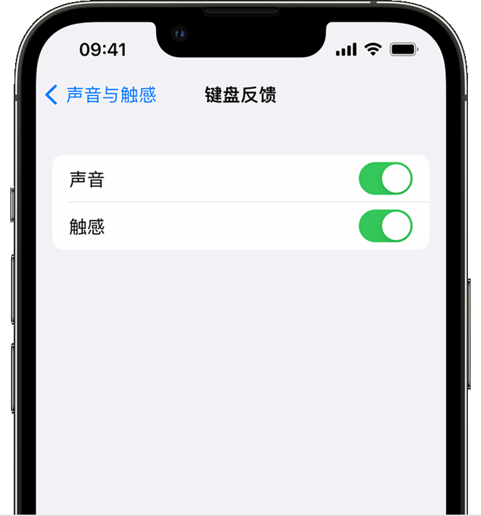 米脂苹果14维修店分享如何在 iPhone 14 机型中使用触感键盘 