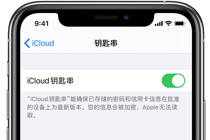 米脂苹果手机维修分享在 iPhone 上开启 iCloud 钥匙串之后会储存哪些信息 